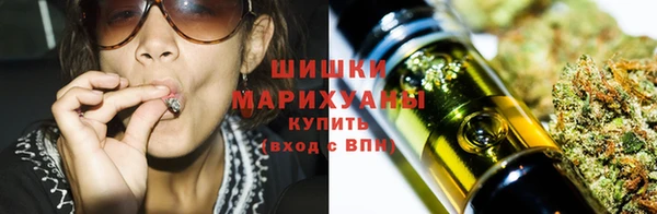 гашик Няндома
