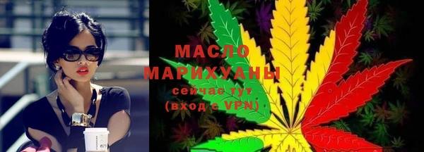 гашик Няндома