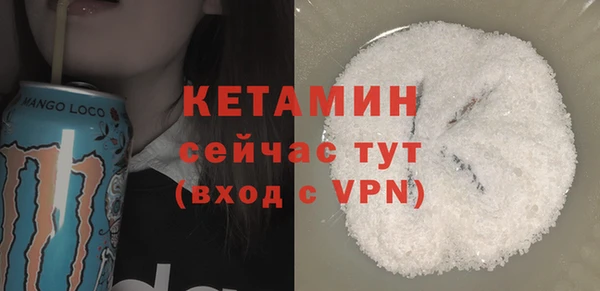 гашик Няндома