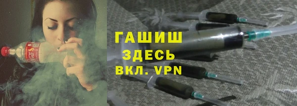 гашик Няндома