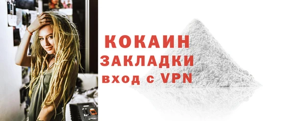 гашик Няндома