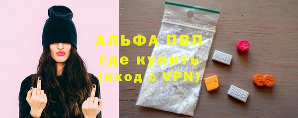 гашик Няндома