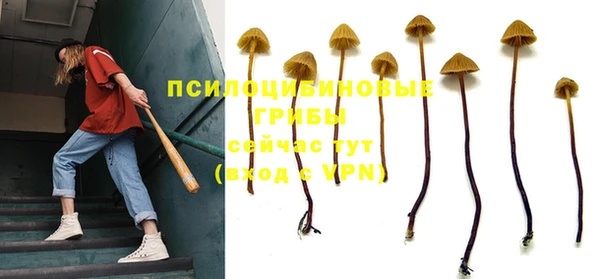 бошки Нязепетровск
