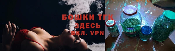 гашик Няндома