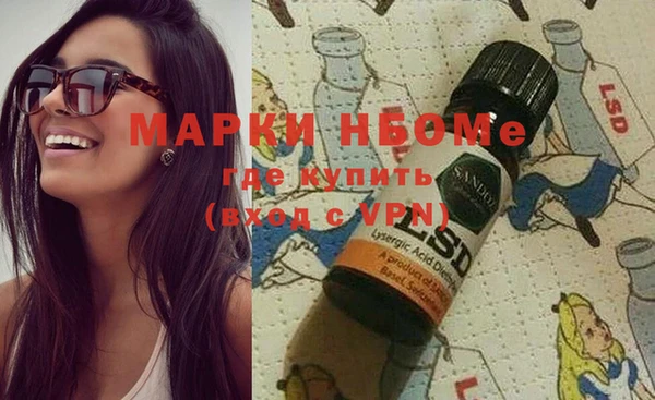 гашик Няндома