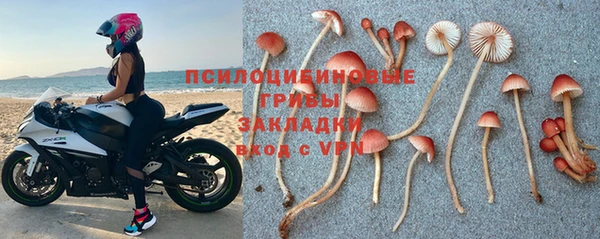 бошки Нязепетровск