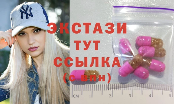 гашик Няндома