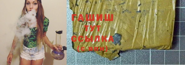 гашик Няндома