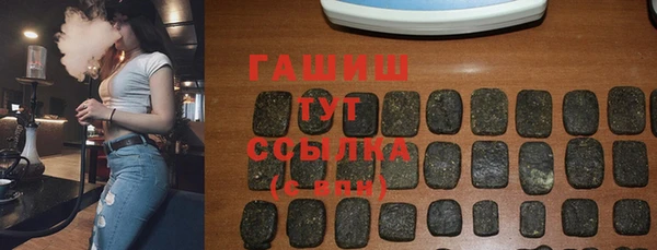 гашик Няндома